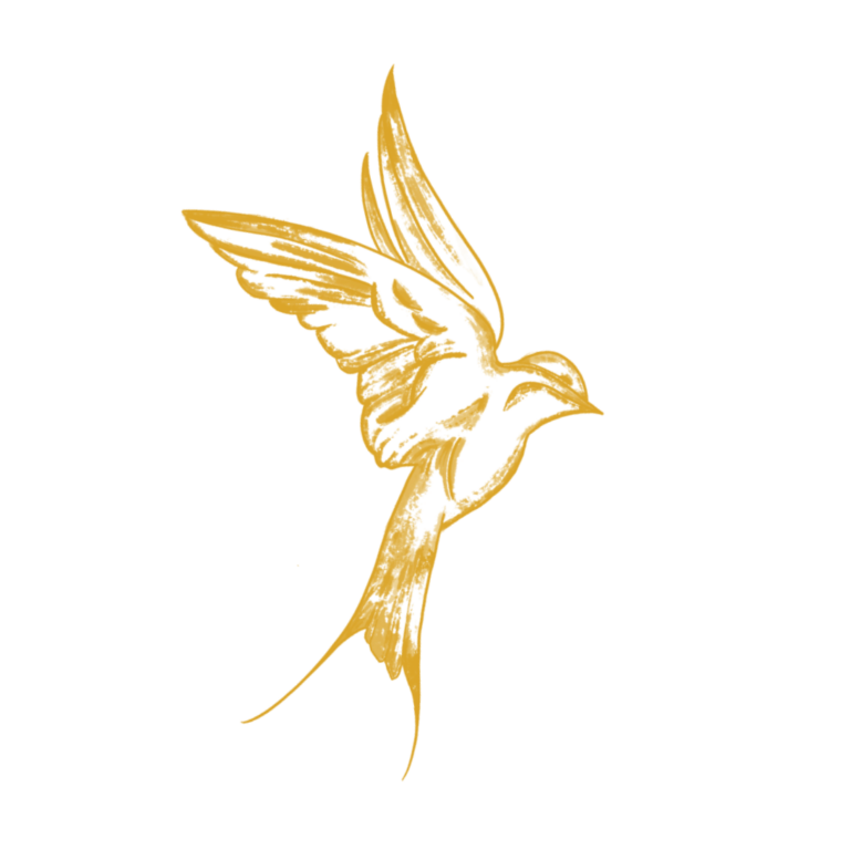 Hulda Ariel Photography logo image